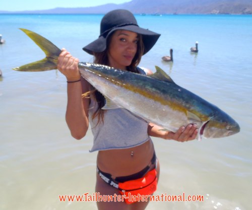 Jasmine Bonsack from Washington first time fishing gets a nice yellowtail fishing out’ve Bahia de Los Muertos with Tailhunter.