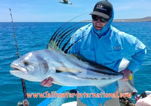 rooster garrett sill tags 4-16