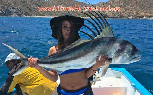 roosterfish Jasime 4-16