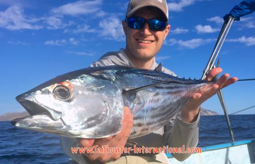 Taylor Rowland bonito 4-16 tags