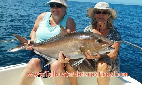 amberjack donna thompson dana hohn texas 5-16 tags