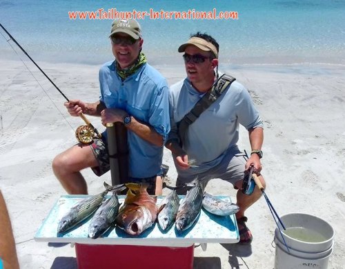 Blount group tags 5-16