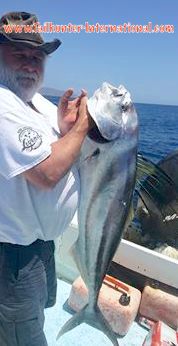 bob winkler rooster tags 4-16