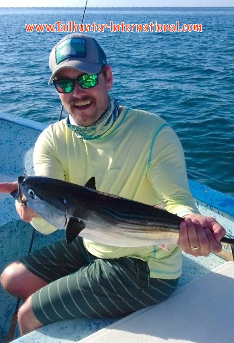 Bonito tom page tags 5-16