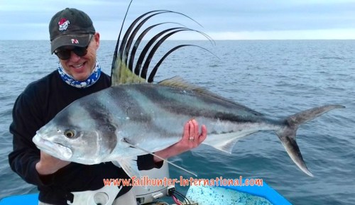 Dennis Miller rooster 5-16 tags