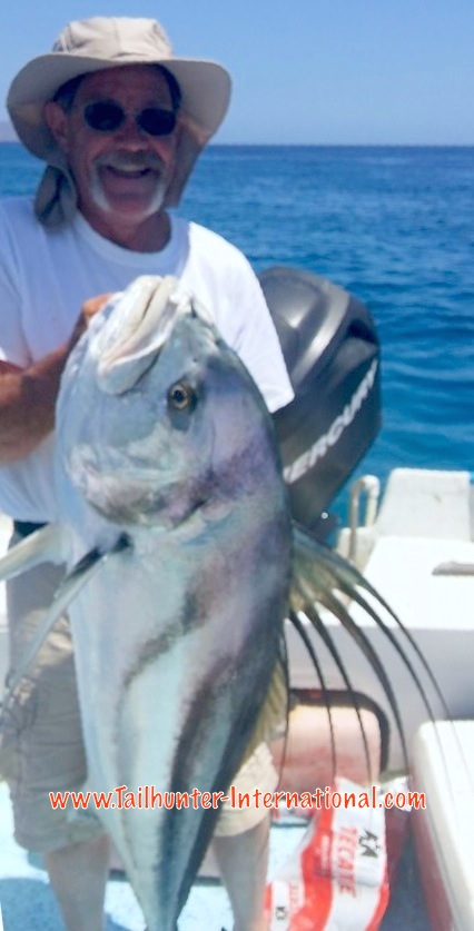 Greg rooster tags 4-16