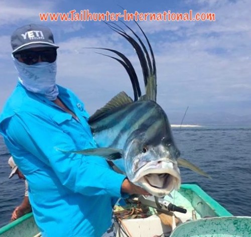 Ian Hudson rooster 5-16 tags