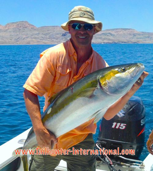 Jake Spencer yellowtail tags 5-16