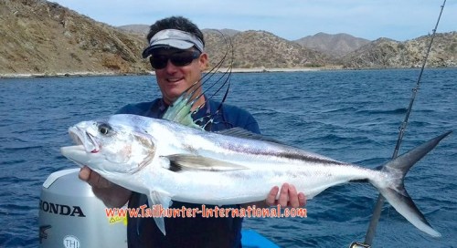 Pat Kelly rooster 4-16 tags