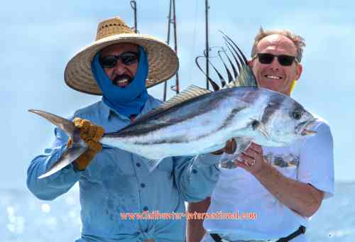 Rooster Dave and Jorge tags 5-16