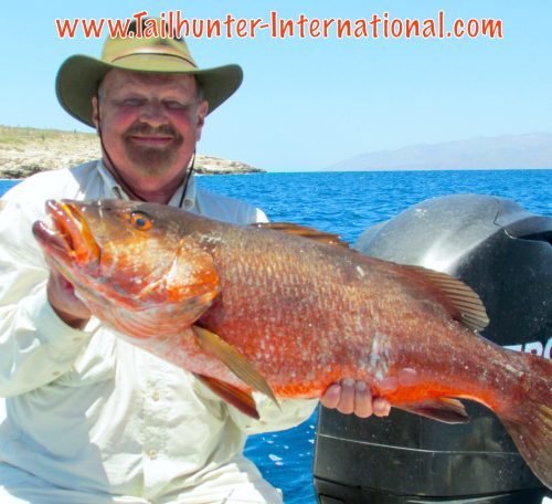 selner pargo tags 5-16