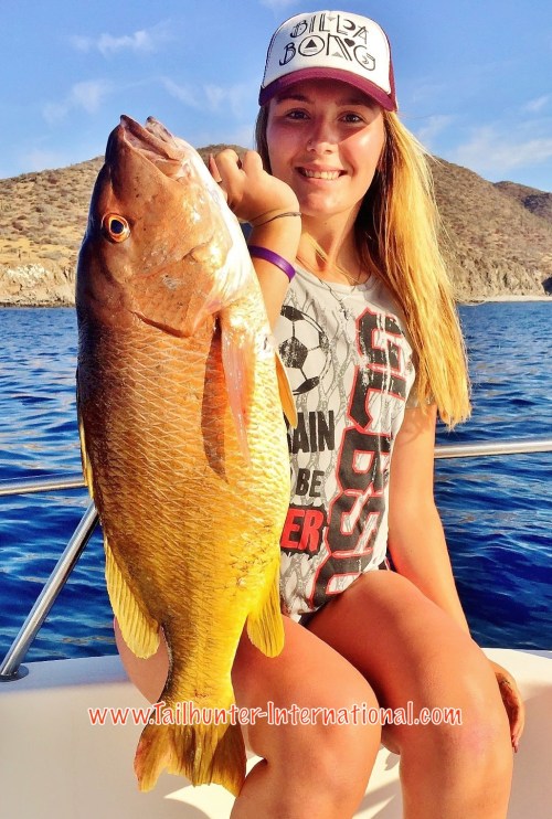 TAylor pargo tags 5-16