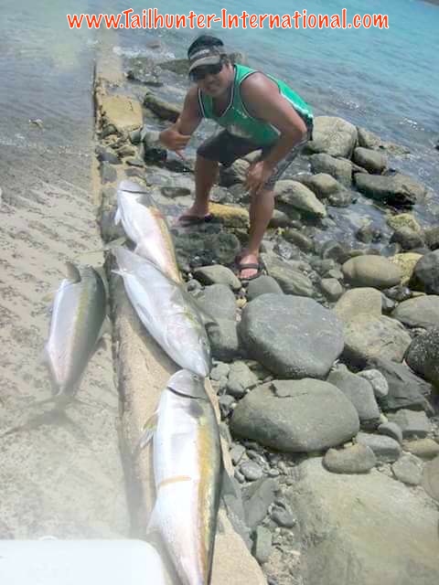 yellowtail kevin tags 5-16