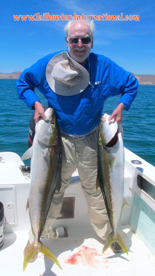 yellowtail mullican tags 5-16