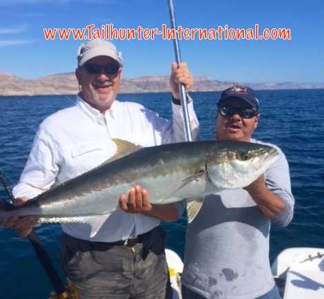 Yellowtail Randy Choate tags boi 5-16