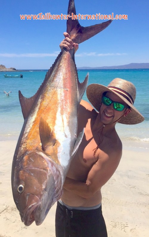 amberjack tags mike gonzalves 6-16