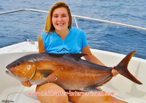 Amberjack taylor murphey 6-16