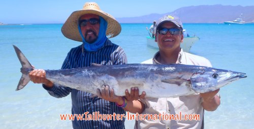 Happy Anniversary wahoo for Diego Jimenez who came to fish with Tailhunters in La Paz for his 25th wedding anniversary from Loveland, Colorado. He and his wife come every year, but he and never gotten a wahoo until this big ‘hoo came along. He gets photo help from Captain Jorge of the Tailhunter fleet on the beach at Bahia de los Muertos.