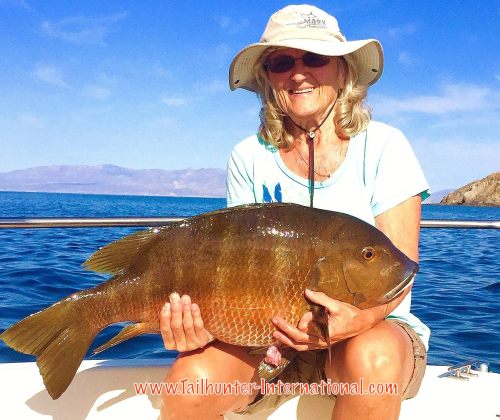 donna pargo tags 6-16