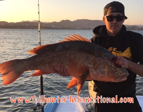 Jacob Curtis tags dog tooth 6-16