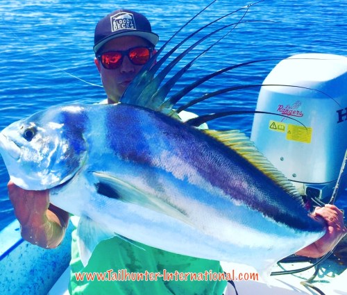 Josh dupre rooster tags 6-16