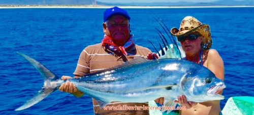 Leah dupre arkangel tags 6-16 rooster