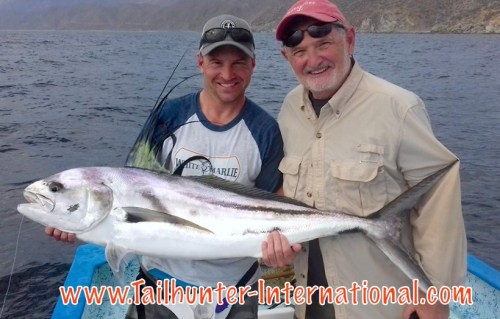 Lederer Matt Bob rooster tags 6-16