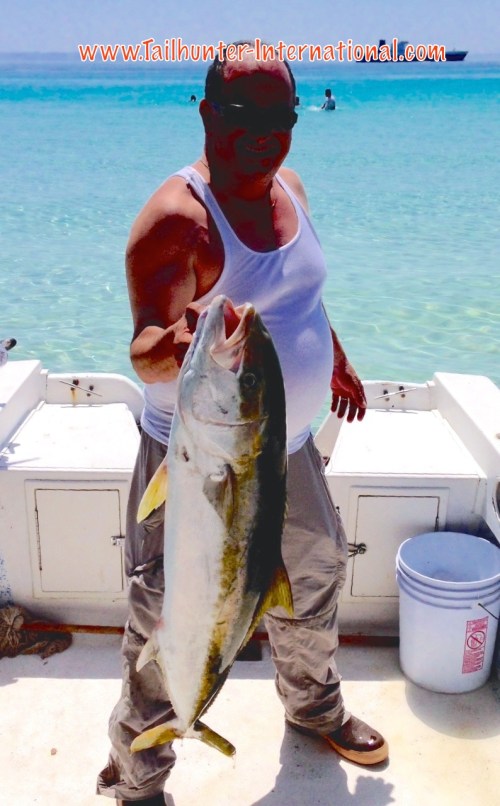 Louie Esposito yellowtail tags 6-16