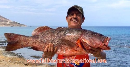 Mauricio Lucero pargo 5-16 tags