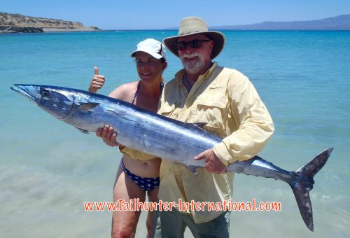 Robby and his wife, Bobette Nixon came down for the first time to La Paz from the Sacramento CA area and he wanted a wahoo and a rooster! He got both! The rooster was released, but he shows off the big wahoo on the beach at Bahia de los Muertos.