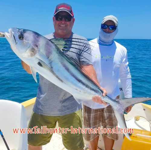 Rooster Dan Gaston Encinitas tags 6-16