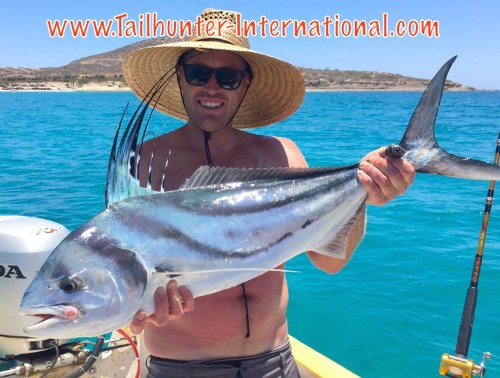 rooster jacob curtis tags 6-16