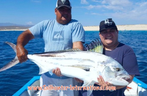 rooster magdaleno ed Guarderas tags 6-16