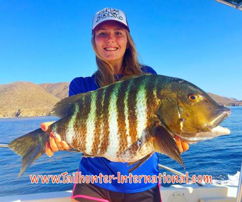 Taylor Pargo 6-16 tags