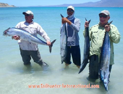 wahoo mcdonnel wilson pancho tags 6-16