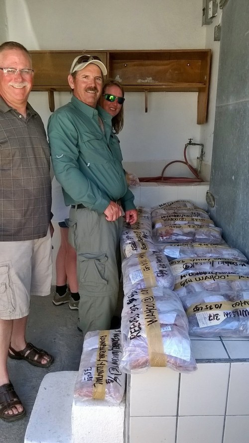 This is part of what 160+ pounds of fish fillet looks like ready to put in the ice chests to take home for Jim Wilson, Sherman McDonnell and Jessica Reeve.