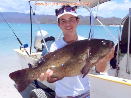 Slug of a trophy cabrilla (seabass) for young Captain Randolph out've Las Arenas/ Bahia de los Muertos! 