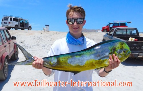 Dorado trevor madson 7-16