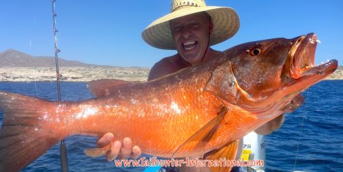 Eric Delin pargo dog tooth tags 7-16