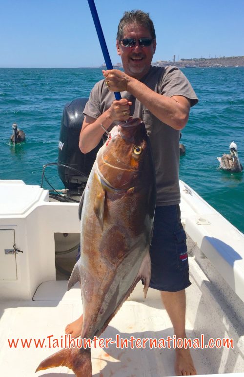Hector Chacon amberjack 6-16 tags