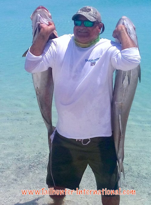 Jorge amberjack tags 6-16