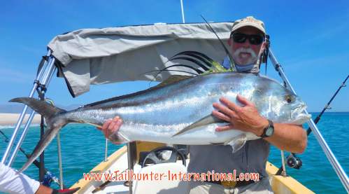 Ken rooster tags 7-16