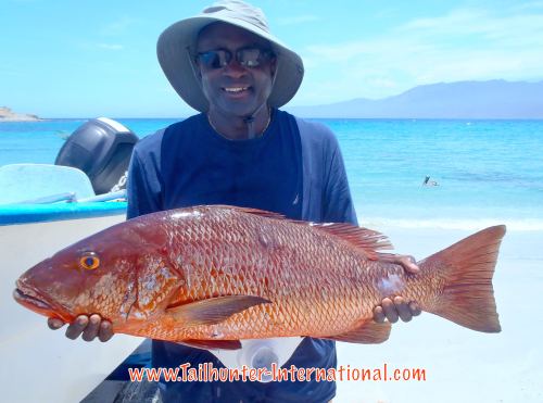 Kennedy Nixon pargo tags 6-16