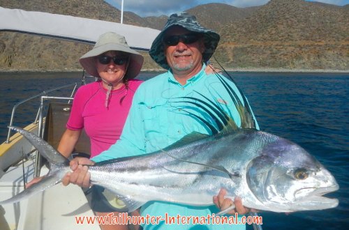 Monte rooster tags 7-16