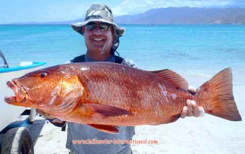 Pargo tags 7-16 dog tooth