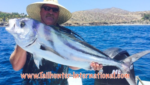 Richard Pope rooster 7-16 tags