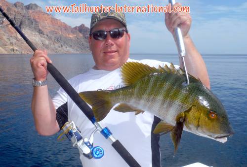 Rick pomeroy pargo tags 7-16