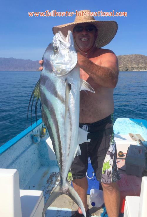 Rooster eric delin tags vertical 7-16