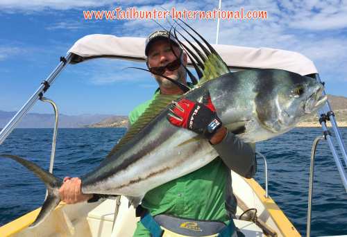 rooster greg miller tags 7-16 one