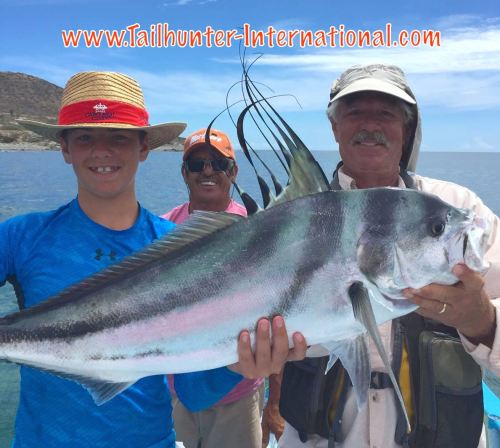 rooster Miles tags 7-16 gary